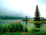 Bali, vẻ đẹp đời thường quyến rũ